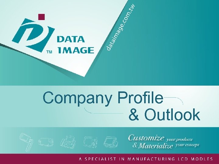 Company Profile & Outlook 