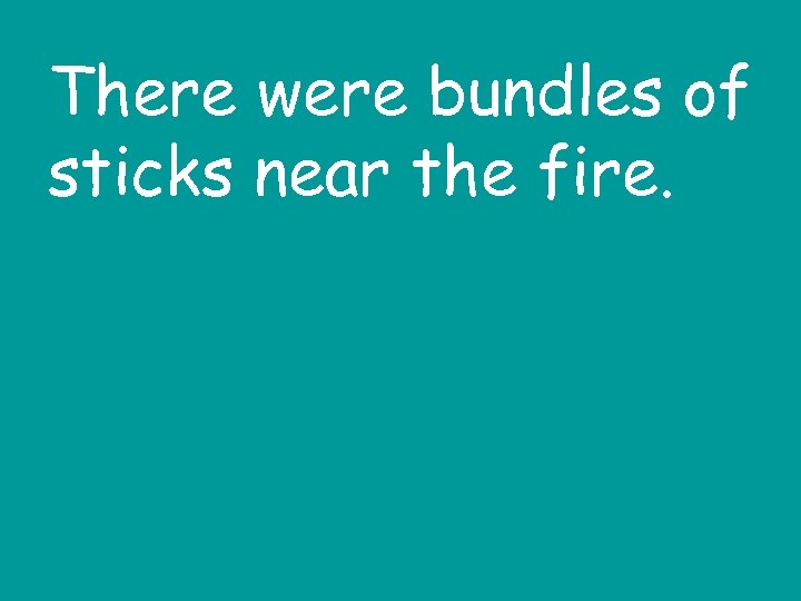 There were bundles of sticks near the fire. 