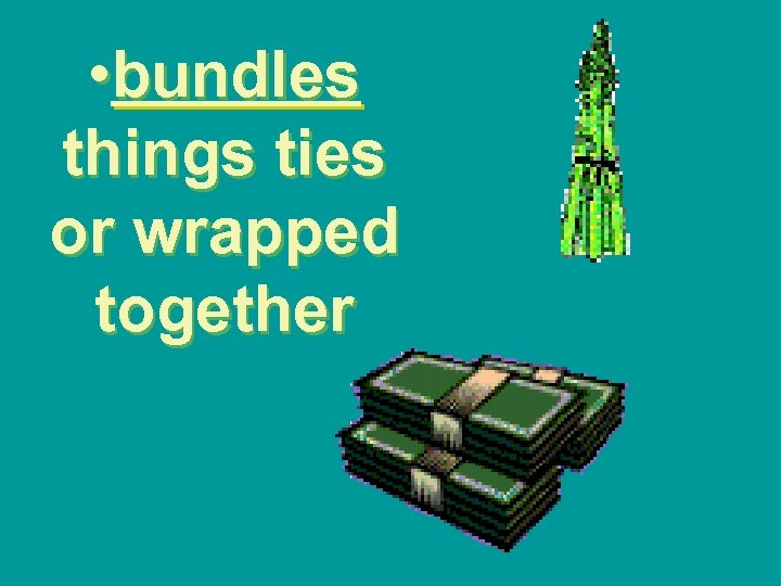  • bundles things ties or wrapped together 