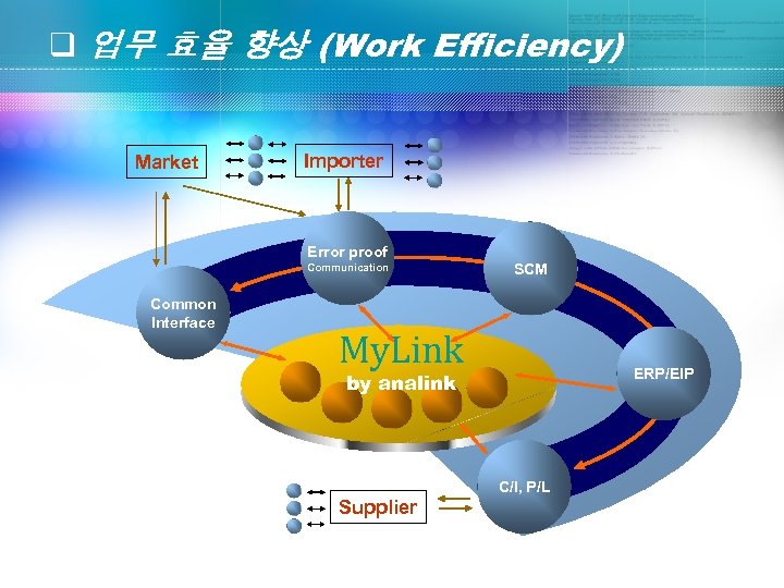 q 업무 효율 향상 (Work Efficiency) Market Importer Error proof Communication Common Interface SCM