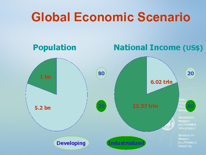Global Economic Scenario Population National Income (US$) 80 1 bn 20 6. 02 trln