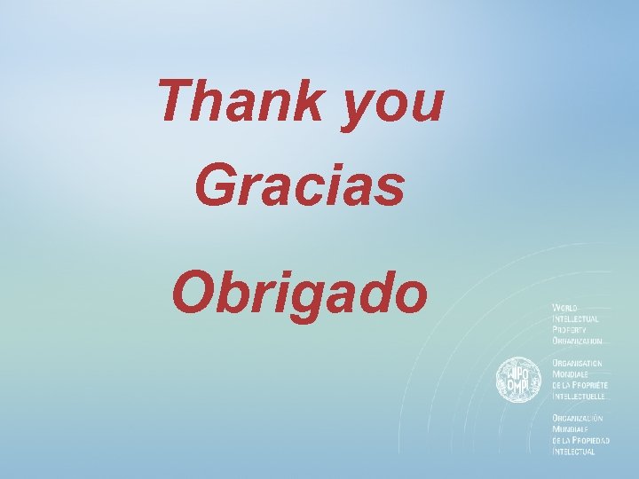 Thank you Gracias Obrigado 
