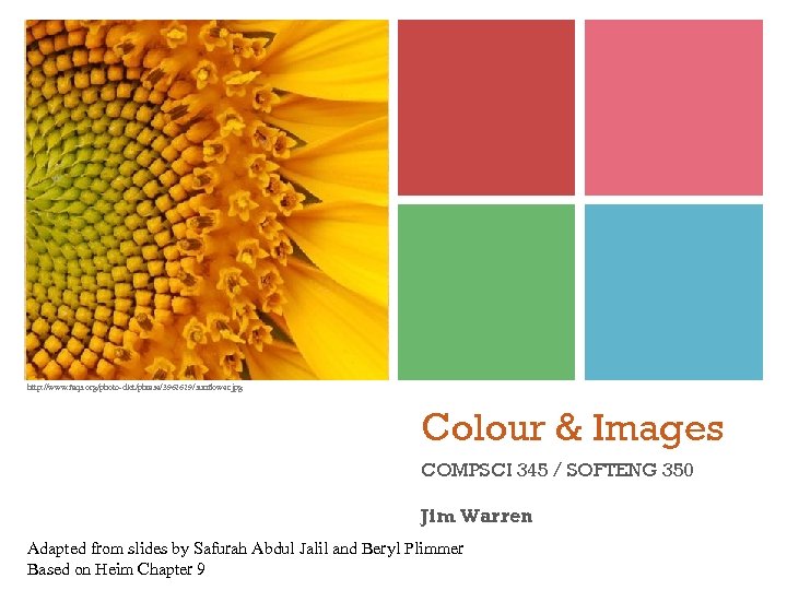 http: //www. faqs. org/photo-dict/phrase/3962629/sunflower. jpg Colour & Images COMPSCI 345 / SOFTENG 350 Jim