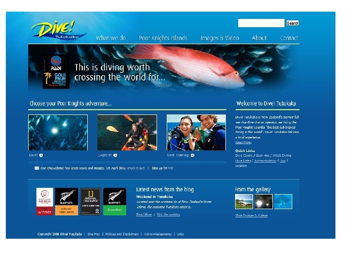 colour Scheme & Images: 