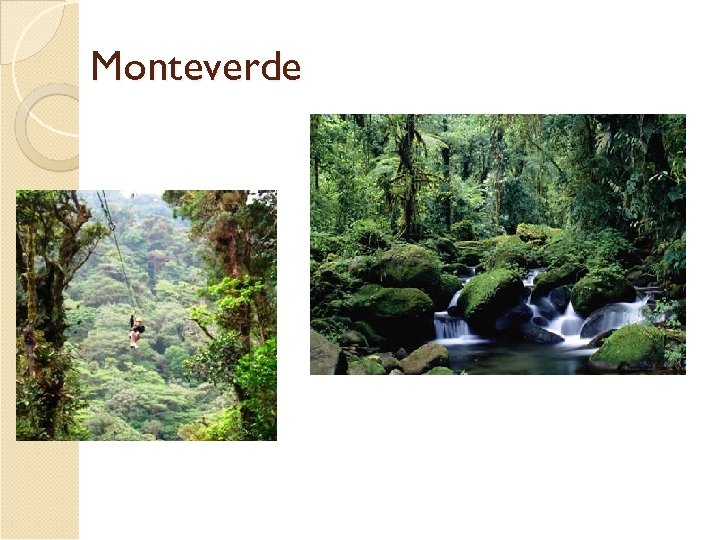 Monteverde 