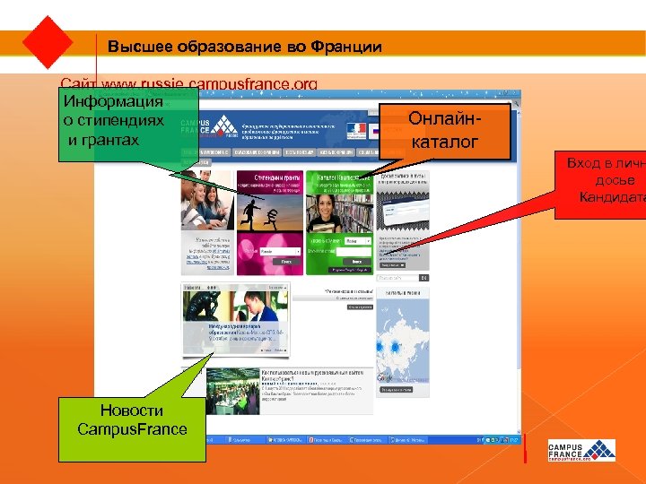 Высшее образование во Франции Сайт www. russie. campusfrance. org Информация о стипендиях и грантах