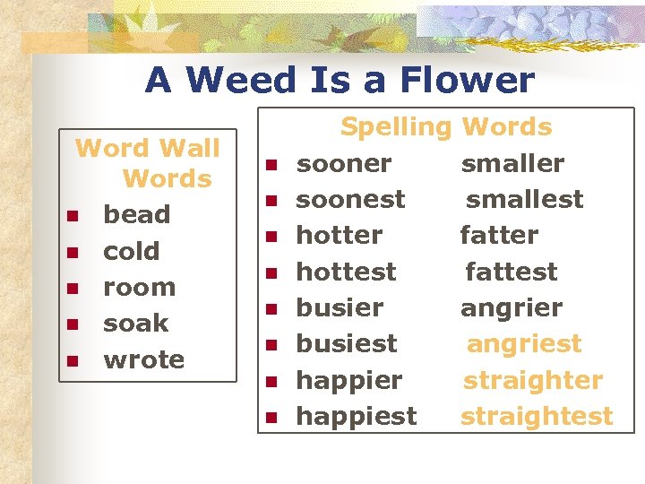 A Weed Is a Flower Word Wall Words n bead n cold n room