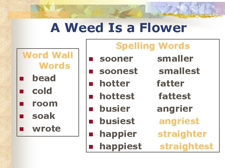 A Weed Is a Flower Word Wall Words n bead n cold n room