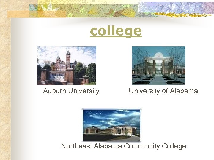 college Auburn University of Alabama Northeast Alabama Community College 