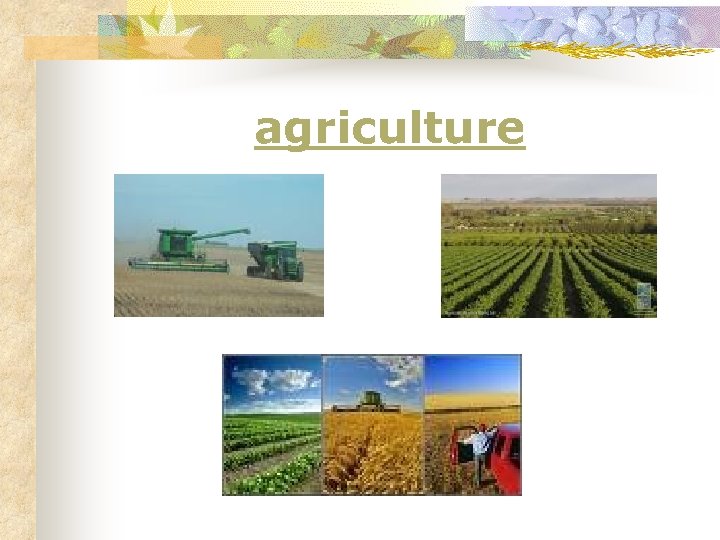 agriculture 