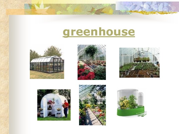 greenhouse 