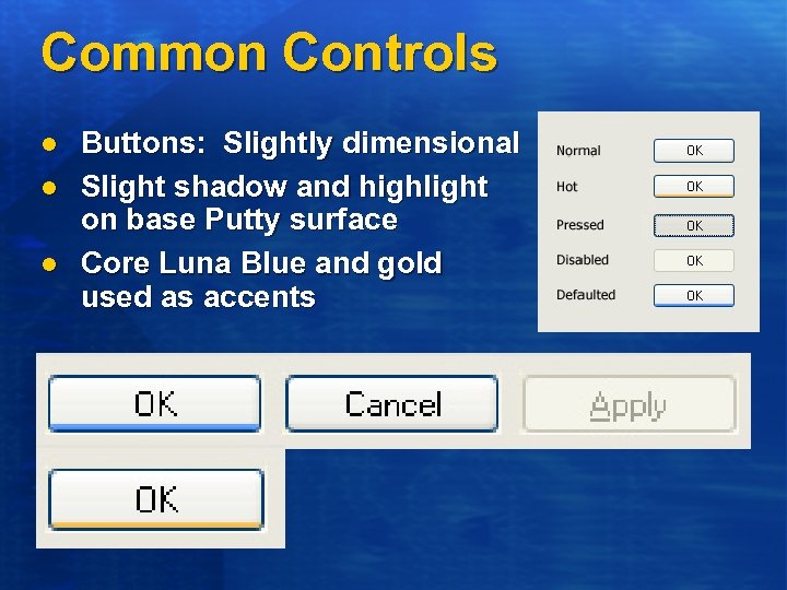Common Controls l l l Buttons: Slightly dimensional Slight shadow and highlight on base