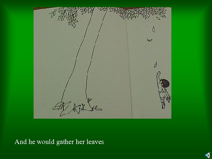And he would gather leaves 