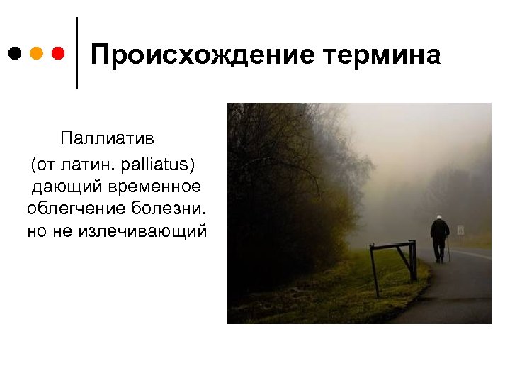 Происхождение термина Паллиатив (от латин. palliatus) дающий временное облегчение болезни, но не излечивающий 