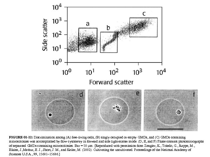 FIGURE 01 -12: Discrimination among (A) free-living cells, (B) singly occupied or empty GMDs,
