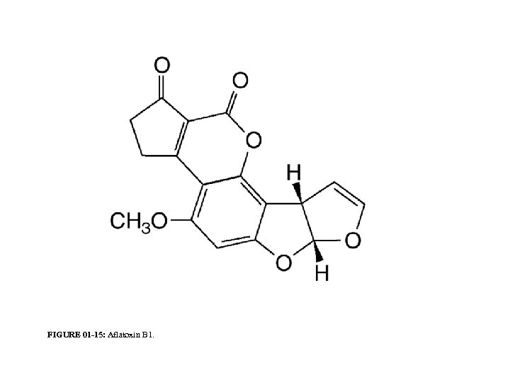 FIGURE 01 -15: Aflatoxin B 1. 