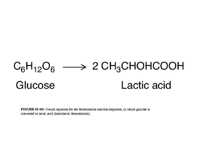 FIGURE 01 -04: Overall equation for the fermentation reaction sequence, in which glucose is