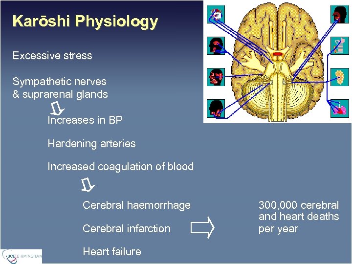 Karōshi Physiology Excessive stress Sympathetic nerves & suprarenal glands Increases in BP Hardening arteries