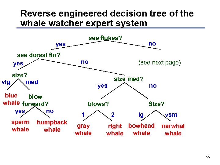 Reverse engineered decision tree of the whale watcher expert system see flukes? yes see