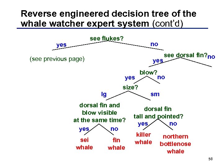 Reverse engineered decision tree of the whale watcher expert system (cont’d) see flukes? yes