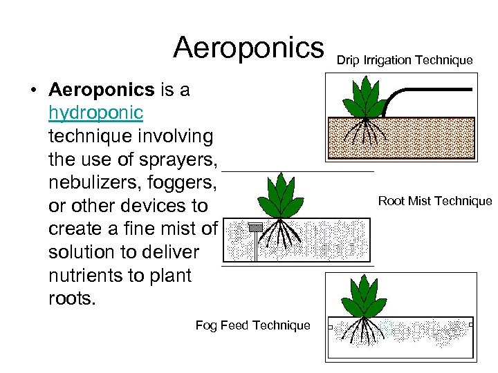 Aeroponics • Aeroponics is a hydroponic technique involving the use of sprayers, nebulizers, foggers,