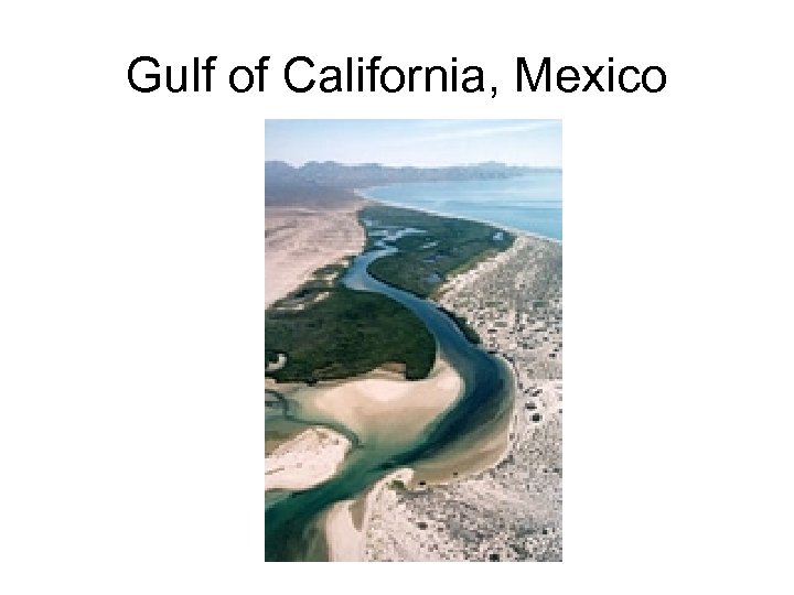 Gulf of California, Mexico 