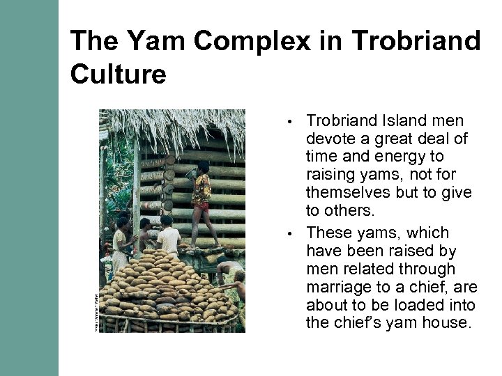 The Yam Complex in Trobriand Culture Trobriand Island men devote a great deal of