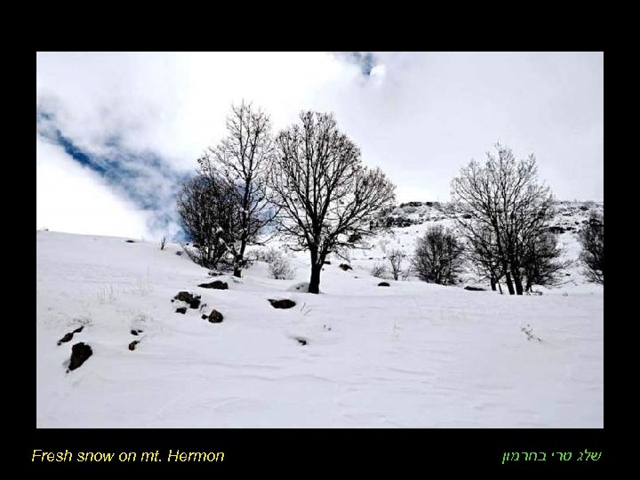 Fresh snow on mt. Hermon שלג טרי בחרמון 