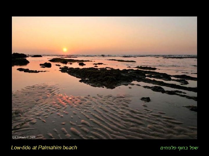 Low-tide at Palmahim beach שפל בחוף פלמחים 