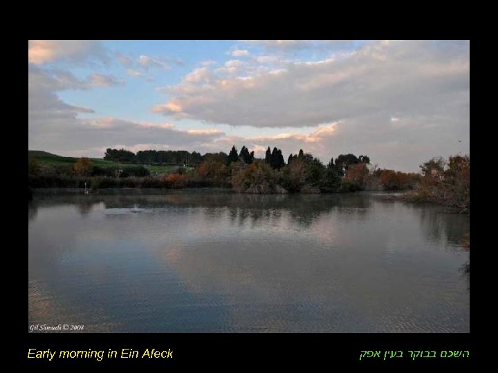 Early morning in Ein Afeck השכם בבוקר בעין אפק 