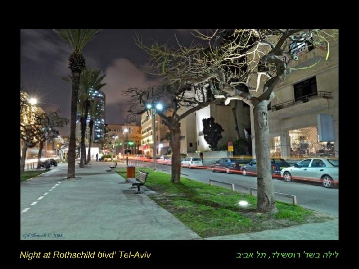 Night at Rothschild blvd’ Tel-Aviv לילה בשד' רוטשילד, תל אביב 