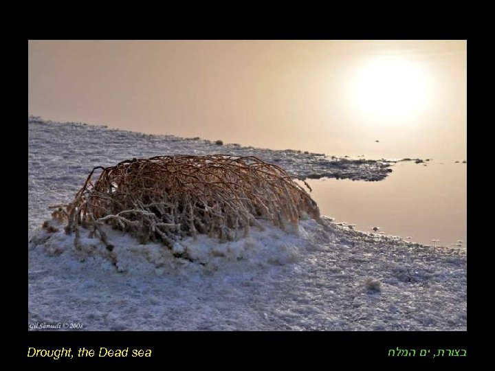 Drought, the Dead sea בצורת, ים המלח 