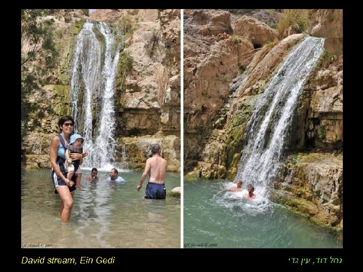 David stream, Ein Gedi נחל דוד, עין גדי 