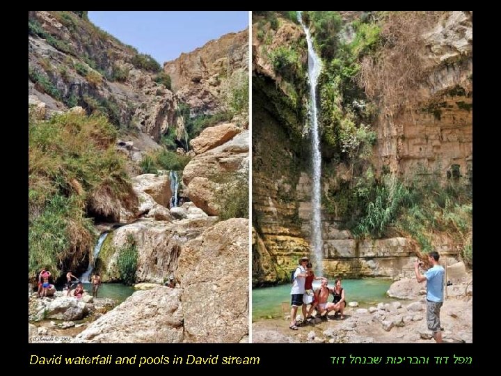 David waterfall and pools in David stream מפל דוד והבריכות שבנחל דוד 