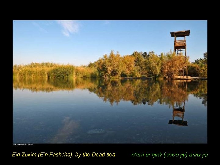 Ein Zukim (Ein Fashcha), by the Dead sea עין צוקים )עין פשחה( לחוף ים