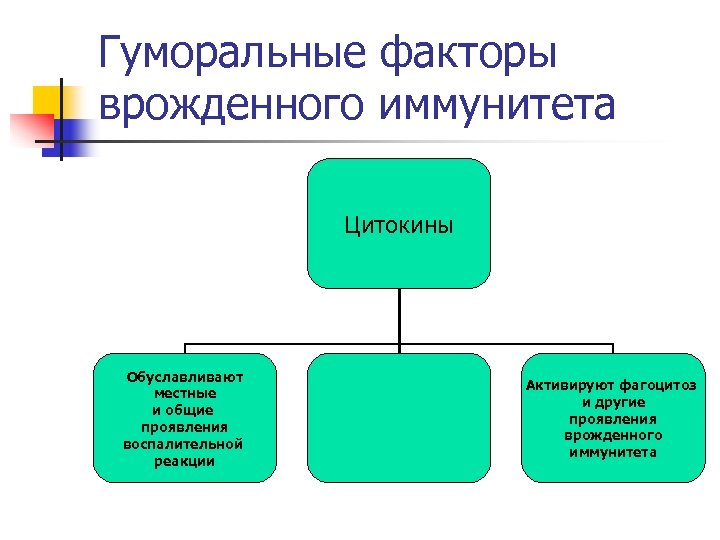 Гуморальные факторы врожденного иммунитета Цитокины Обуславливают местные и общие проявления воспалительной реакции Активируют фагоцитоз