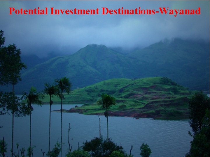 Potential Investment Destinations-Wayanad 