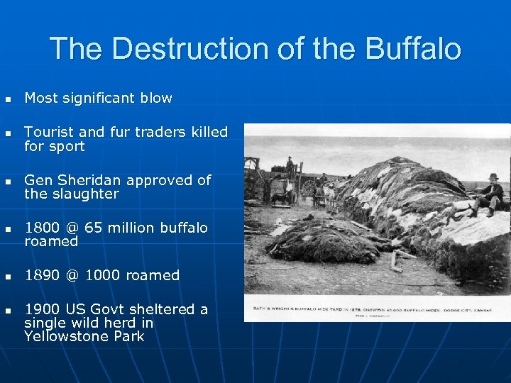The Destruction of the Buffalo n Most significant blow n Tourist and fur traders
