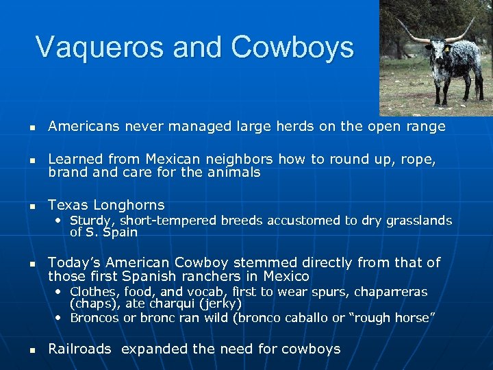 Vaqueros and Cowboys n Americans never managed large herds on the open range n