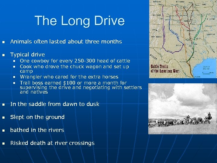 The Long Drive n Animals often lasted about three months n Typical drive •