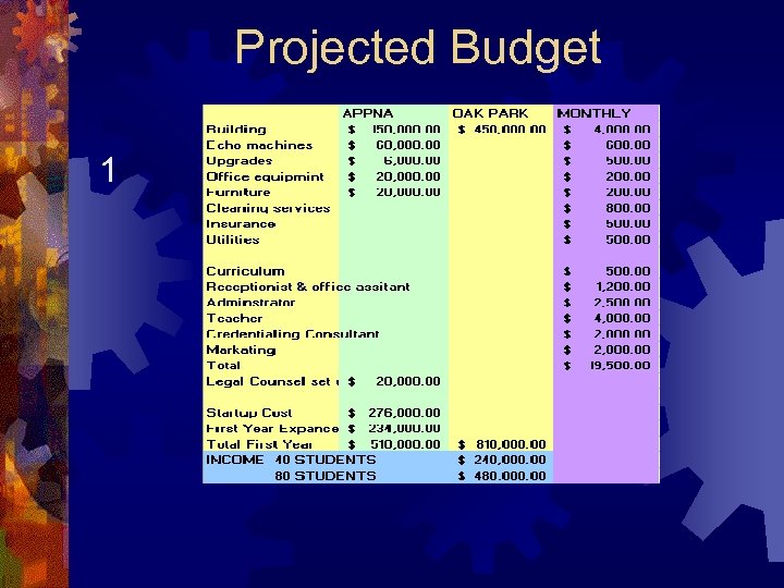 Projected Budget 1 