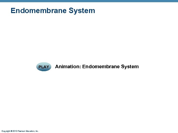 Endomembrane System PLAY Copyright © 2010 Pearson Education, Inc. Animation: Endomembrane System 