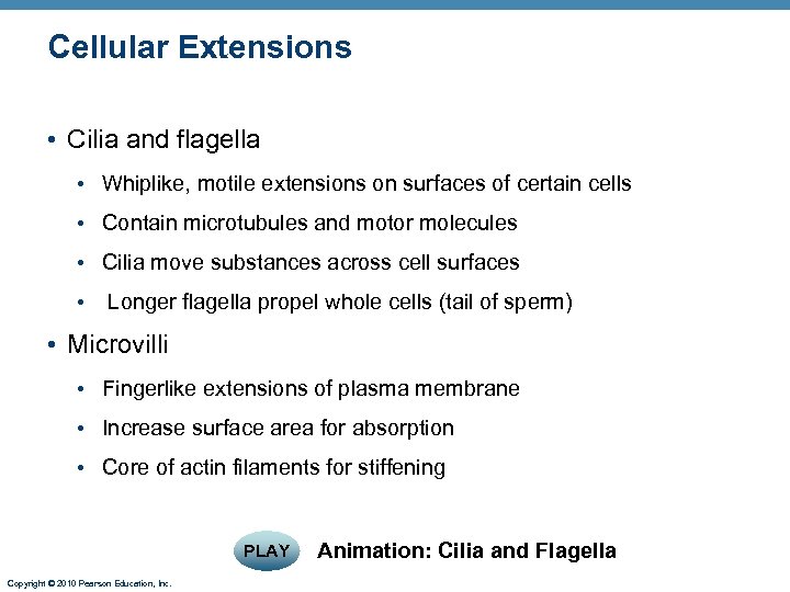 Cellular Extensions • Cilia and flagella • Whiplike, motile extensions on surfaces of certain