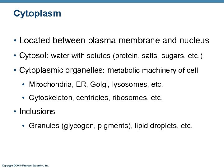 Cytoplasm • Located between plasma membrane and nucleus • Cytosol: water with solutes (protein,