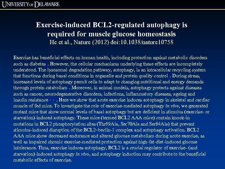 Exercise-induced BCL 2 -regulated autophagy is required for muscle glucose homeostasis He et al.