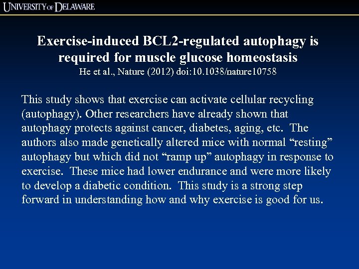 Exercise-induced BCL 2 -regulated autophagy is required for muscle glucose homeostasis He et al.