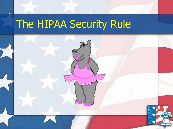 The HIPAA Security Rule 