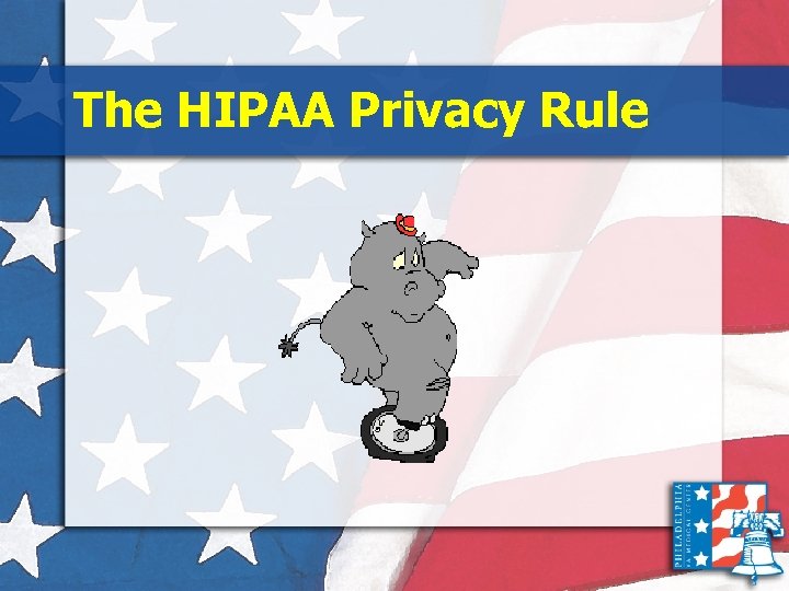 The HIPAA Privacy Rule 
