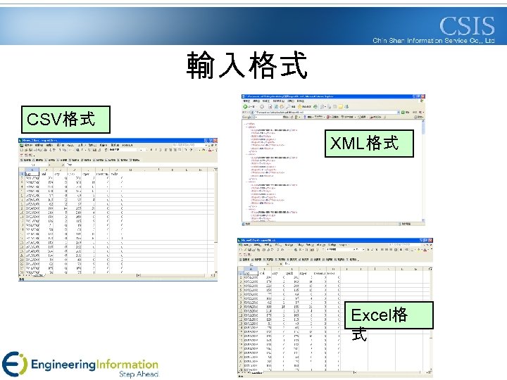 輸入格式 CSV格式 XML格式 Excel格 式 