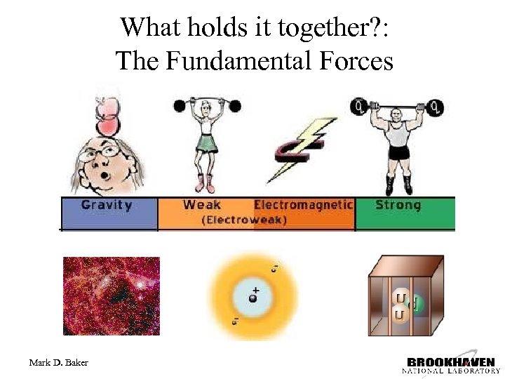 What holds it together? : The Fundamental Forces Mark D. Baker 